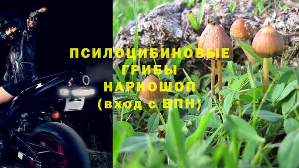 мяу мяу мука Балахна