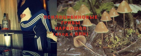 мяу мяу мука Балахна